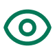 Eye Scan Icon